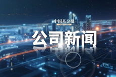 新浪財(cái)經(jīng) 金融信息服務(wù)的領(lǐng)航者與生態(tài)構(gòu)建者