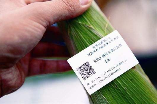 蔬菜二維碼追溯系統 讓食用農產品零售全程可查可信